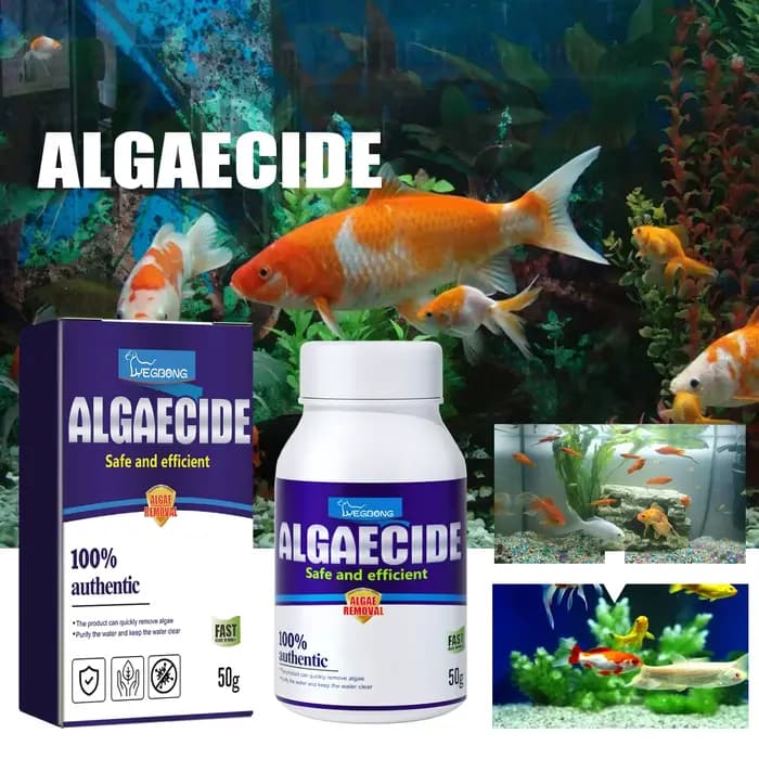 Algicide haute efficacité à action rapide pour éliminer le mousse et purifier l'eau verte