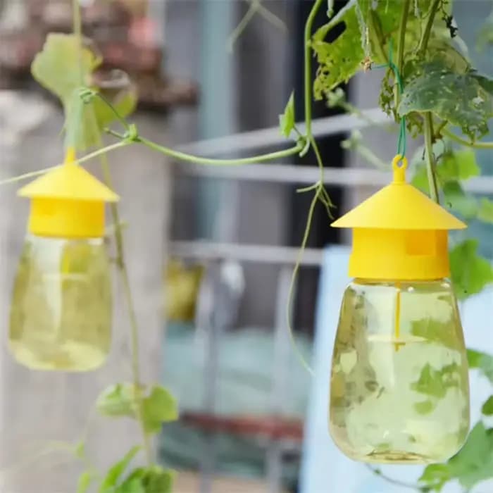Piège à mouches en plastique pour fruits