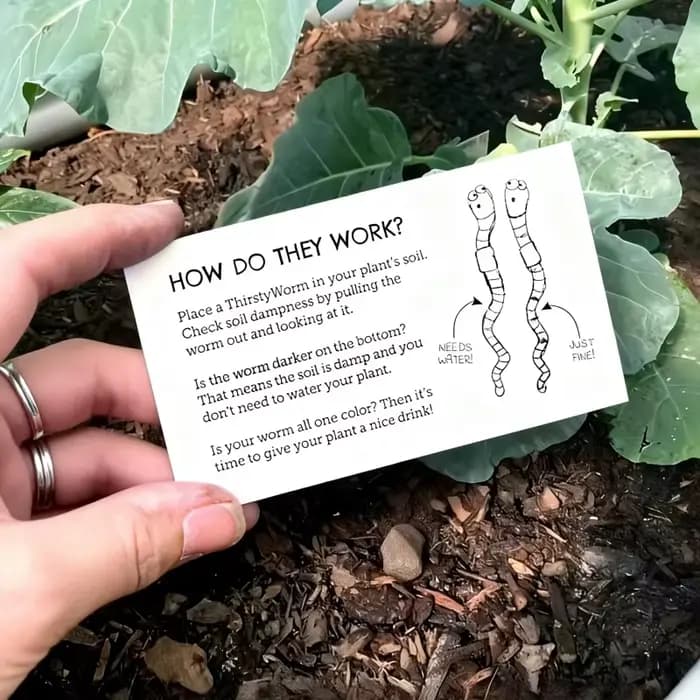 Jardinière amusante en forme de vers de terre