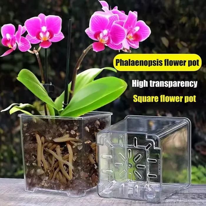 Pot de fleur transparent pour plantes