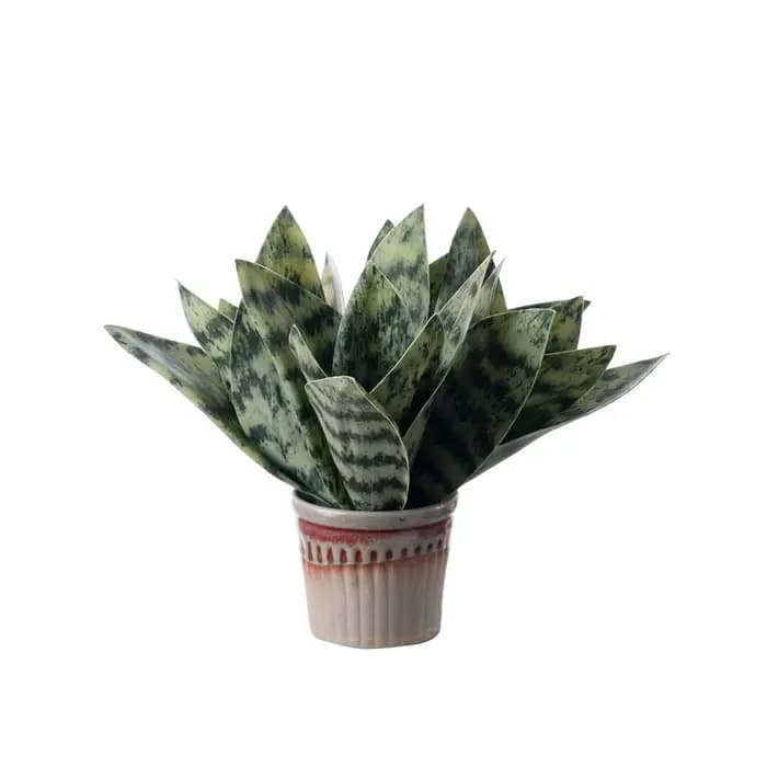 Plante Serpent Artificielle pour Décoration Intérieure