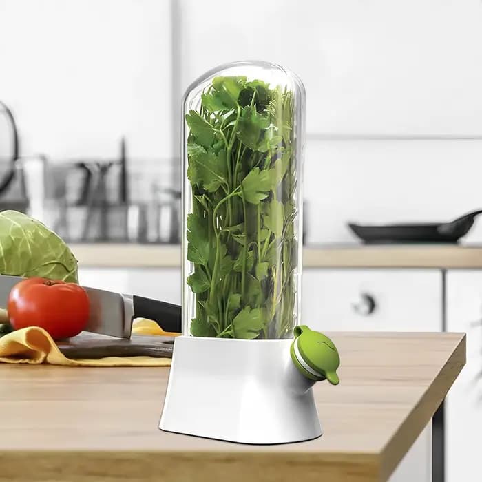 Économiseur d'herbes pour réfrigérateur