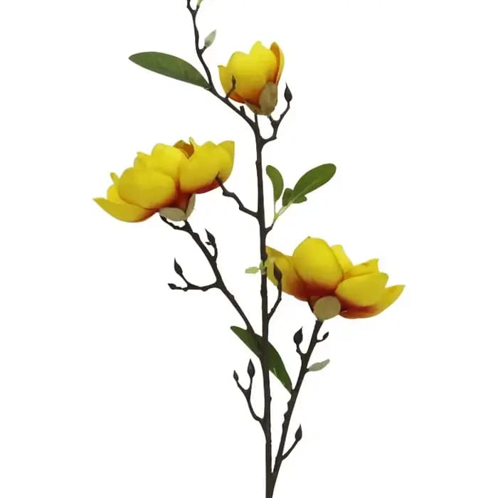 Simulation de fleur de magnolia d'intérieur