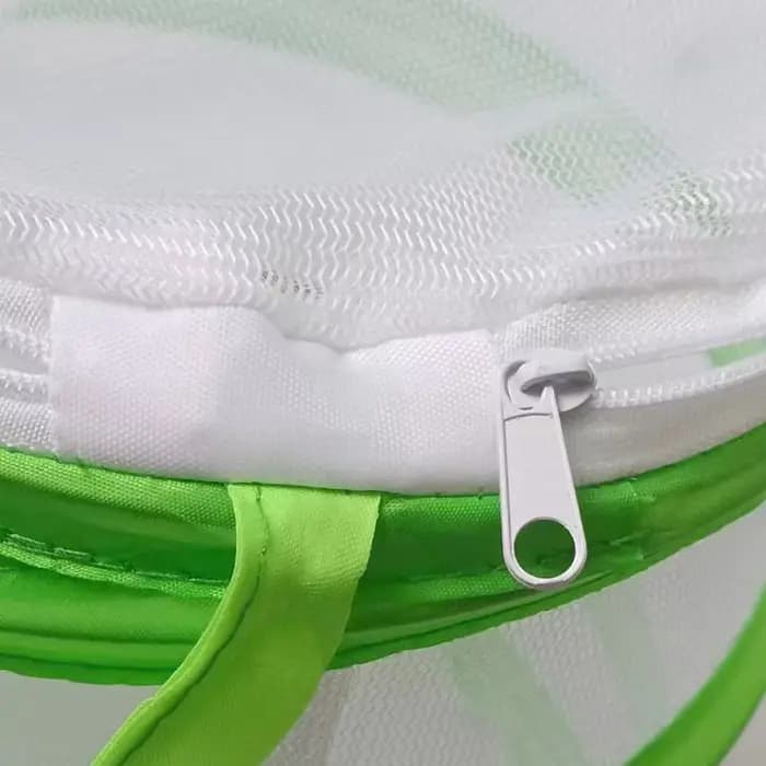 Cage à insectes pliable pour l'observation des chenilles et des papillons