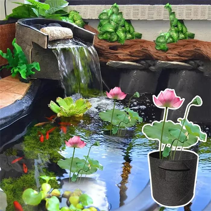Pots de plantes de lys VELIF-8Pack pour étang