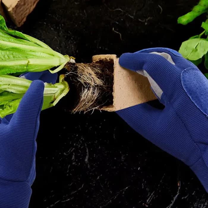 1 paire de gants de jardinage