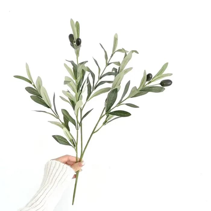 Branches d'olivier pour Vases