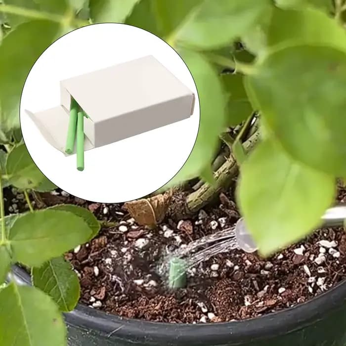 Navigateur de plantes en pot à dégagement lent