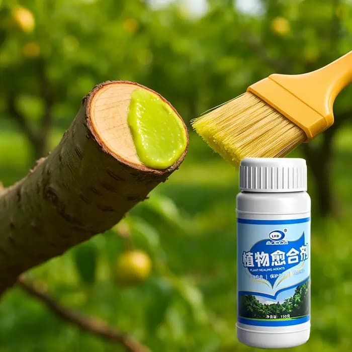 Pâte cicatrisante pour plaies végétales des arbres fruitiers