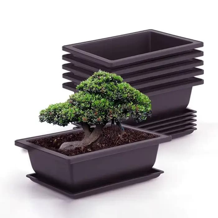 Pots de fleurs en plastique avec plateaux