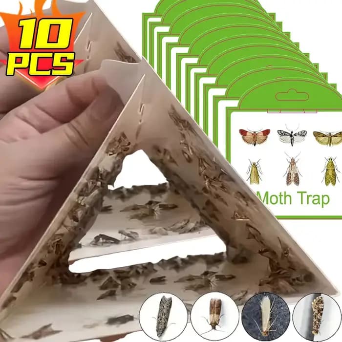 Pièges à papillons antiparasitaires