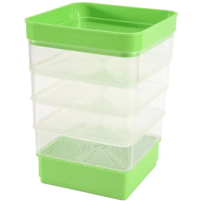 Kit de Germination de graines de haricots