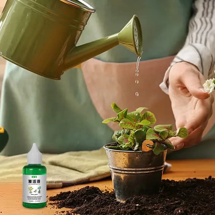 Liquide revitalisant pour plantes