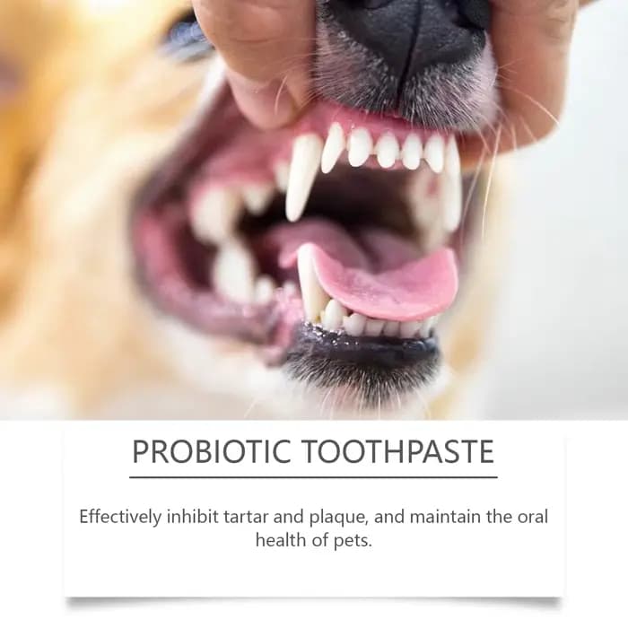 Dentifrice probiotique pour animaux de compagnie : élimine la plaque dentaire, rafraîchit l'haleine, nettoyage doux des dents et soins buccaux, aiguisé par tous les animaux domestiques