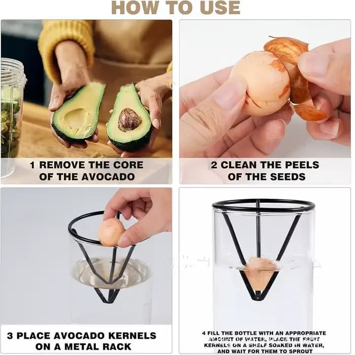 Vase en verre hydroponique avec support triangulaire