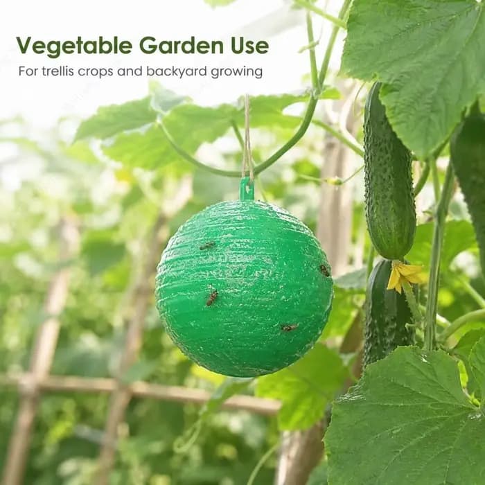 Pièges à insectes de jardin : Boules collantes pour attrape-mouches à fruits
