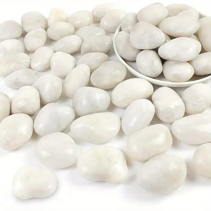 400g de galets de rivière naturels blancs polis de 2-3 cm - Pierres décoratives pour jardinières