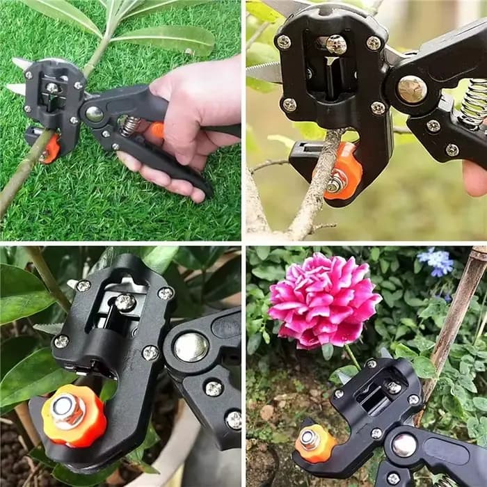 Sécateur de greffage de jardin