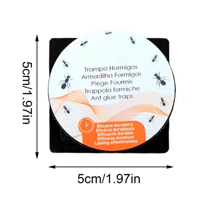 Pièges à fourmis d'intérieur