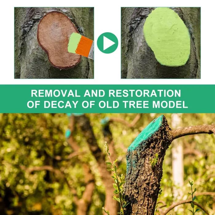 Pommade protectrice naturelle pour plaies d'arbres 100g – Pâte réparatrice pour écorces endommagées