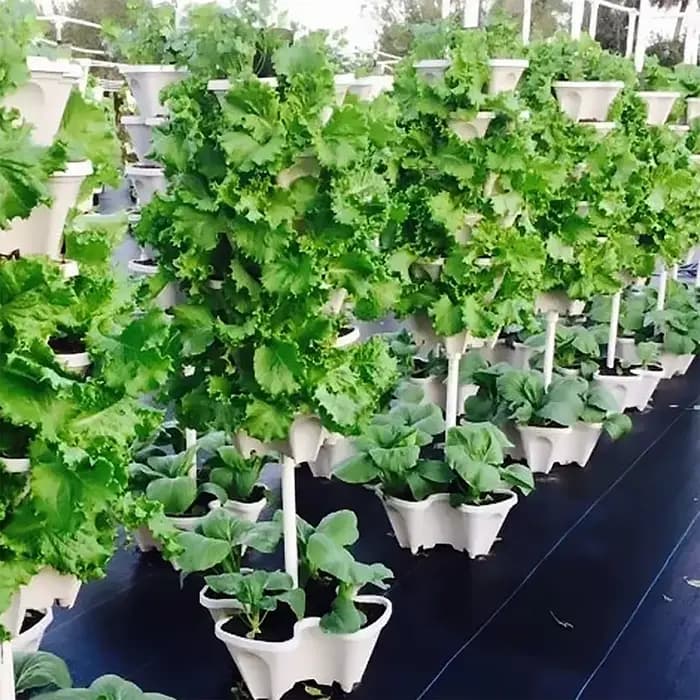 Jardinières verticales empilables pour la plantation de fraises dans le jardin