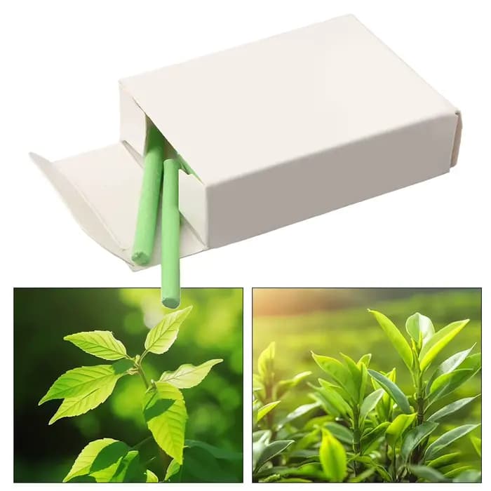 Navigateur de plantes en pot à dégagement lent
