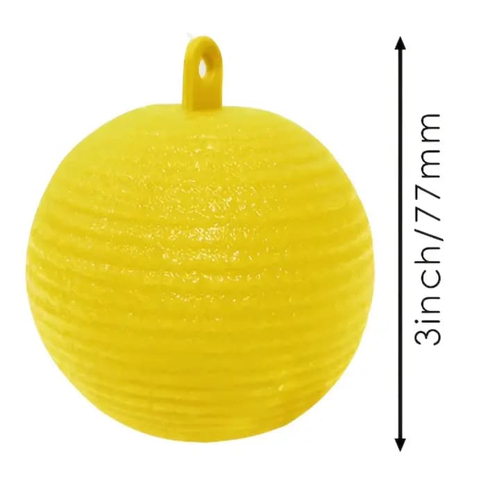 Pièges à mouches à fruits