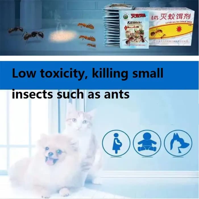 Poudre pour tuer les fourmis