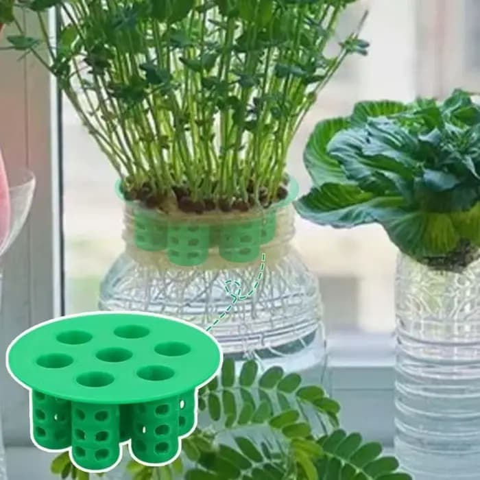 Plateau de germination à 7 alvéoles sans terre