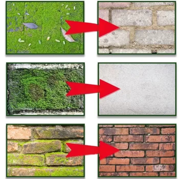 Spray pour éliminer les algues du mousse et du Lichen