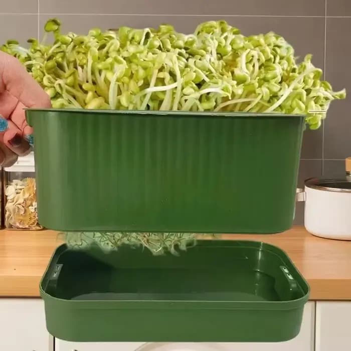 Pots de culture de légumes en plastique