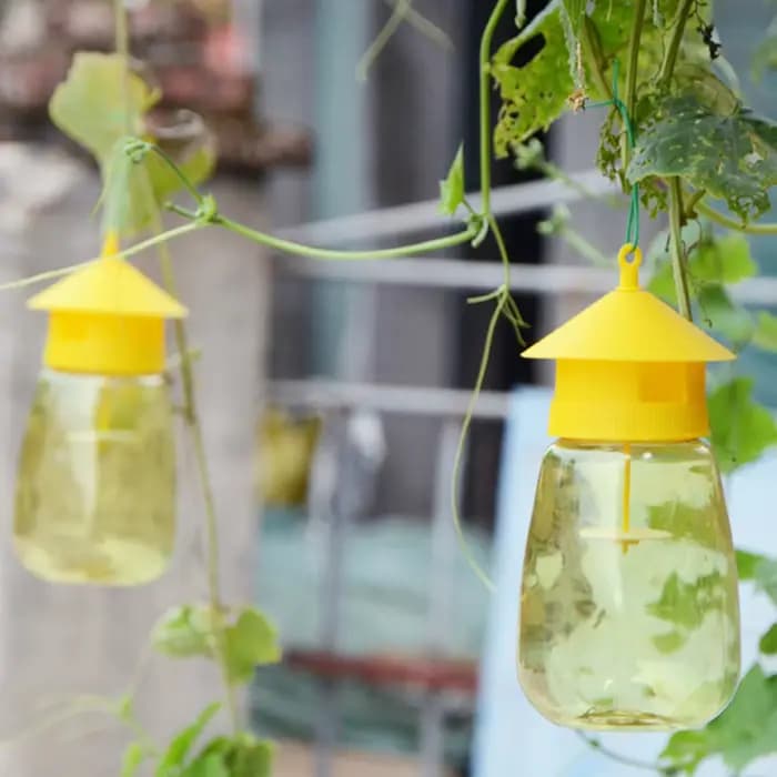 Piège à mouches en plastique pour fruits