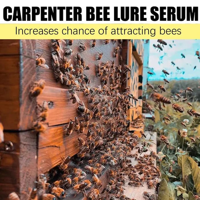 30g Baume Attrape-Abeilles d'Entonnoir