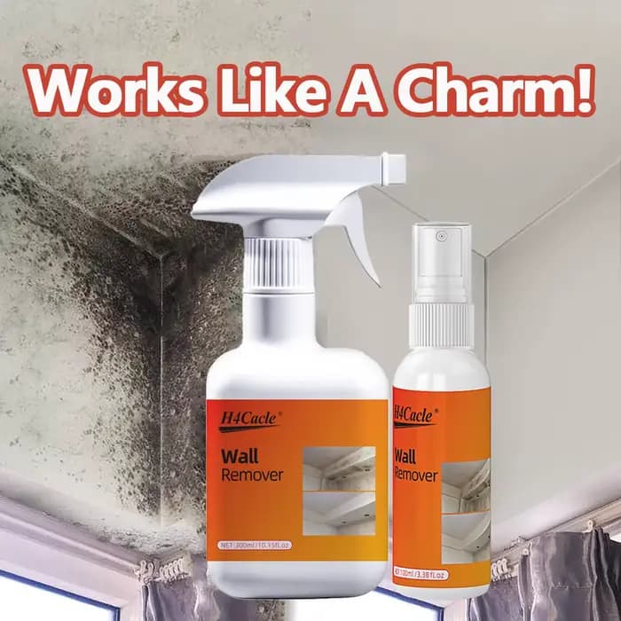 Spray dissolvant de moisissure