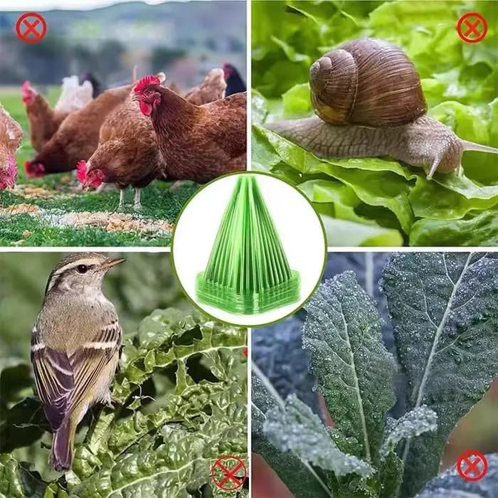 Couverture de protection pour plantes de jardin et pelouse