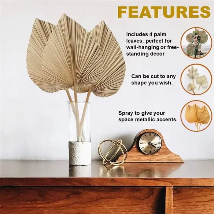 4 feuilles de palmier séchées naturelles
