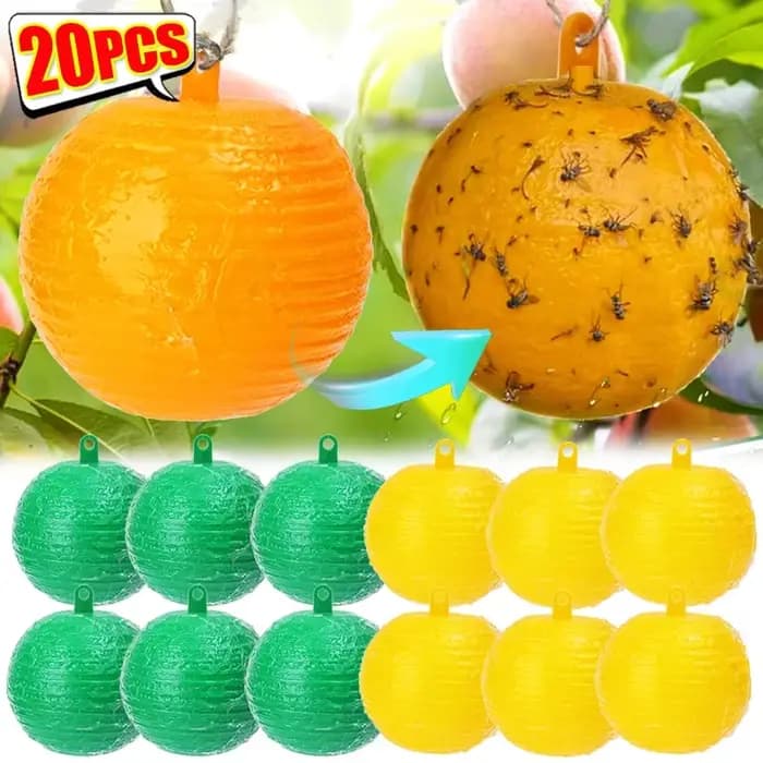 Pièges à insectes volants pour mouches des fruits