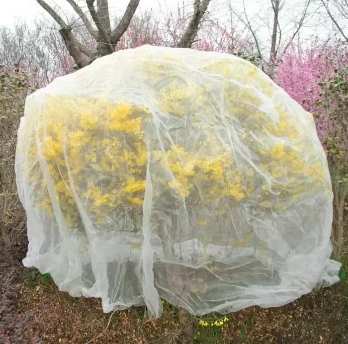 Filet de prévention des insectes pour arbres fruitiers