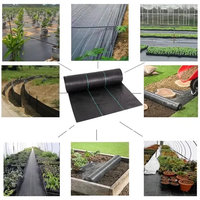 Tissu d'allée pour jardin paysager de qualité commerciale
