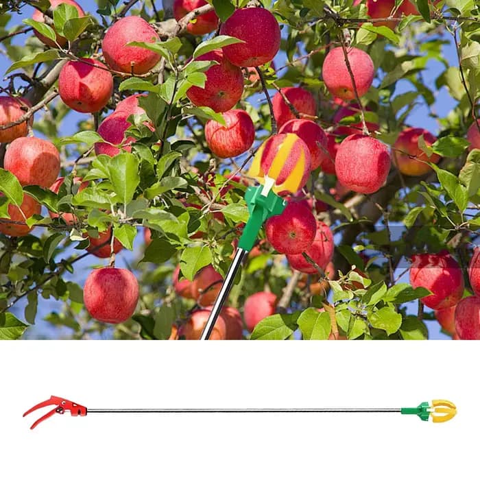 Cueilleur de fruits télescopique à trois griffes avec fonction de coupe de branches