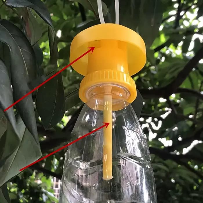 Piège à fruits jaune utile