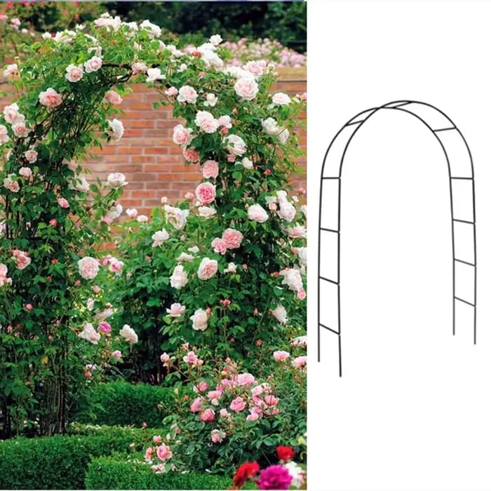 Arches de jardin en fer 240x140x38cm