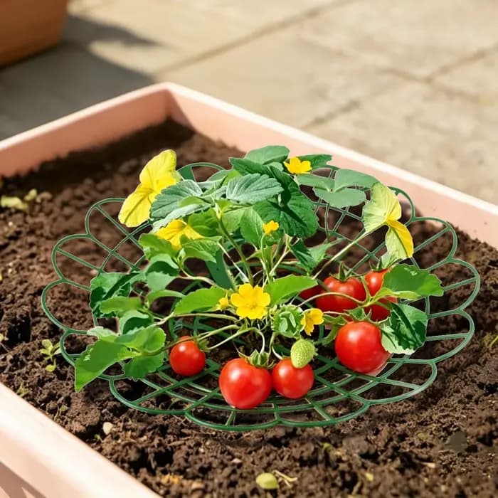 Support de culture pour fraises en pot