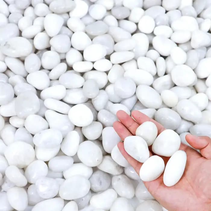 400g de galets de rivière naturels blancs polis de 2-3 cm - Pierres décoratives pour jardinières