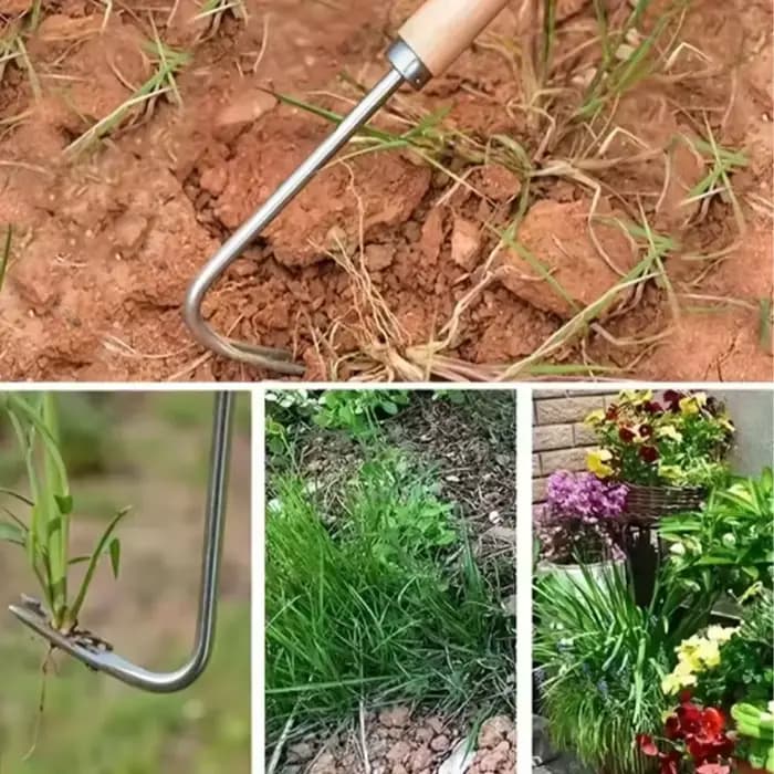 Outil de désherbage en acier inoxydable