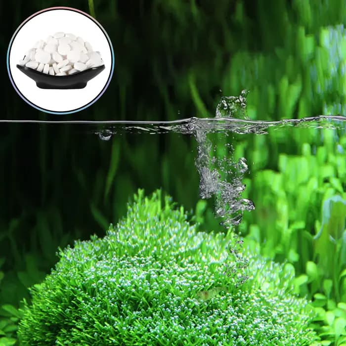 Comprimés d'élimination des algues pour Aquarium