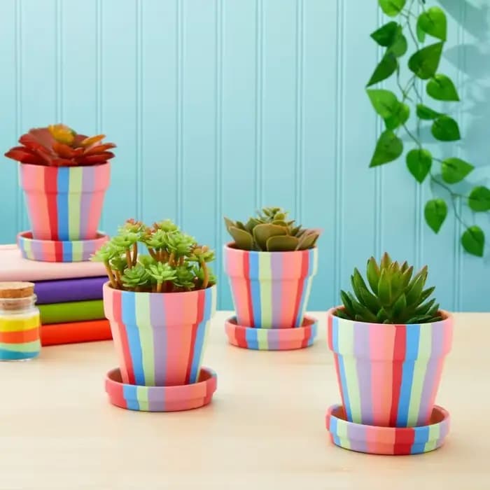 Pot en argile avec mini jardinières succulentes