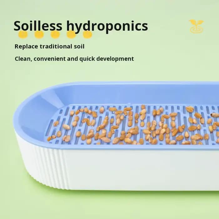 Kit de culture hydroponique d'herbe à chat pour chats