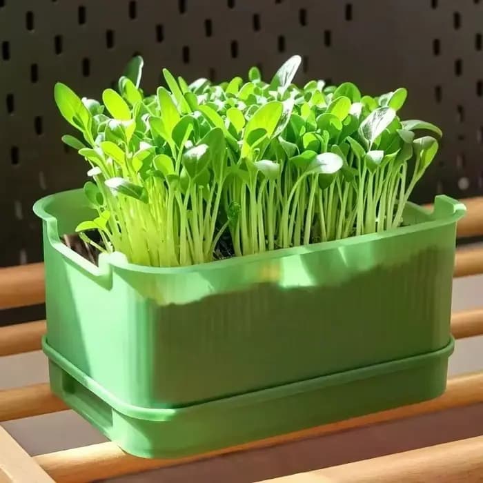 Pots de culture de légumes en plastique