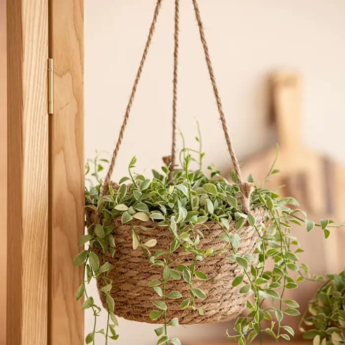 Jardinière suspendue de style rustique